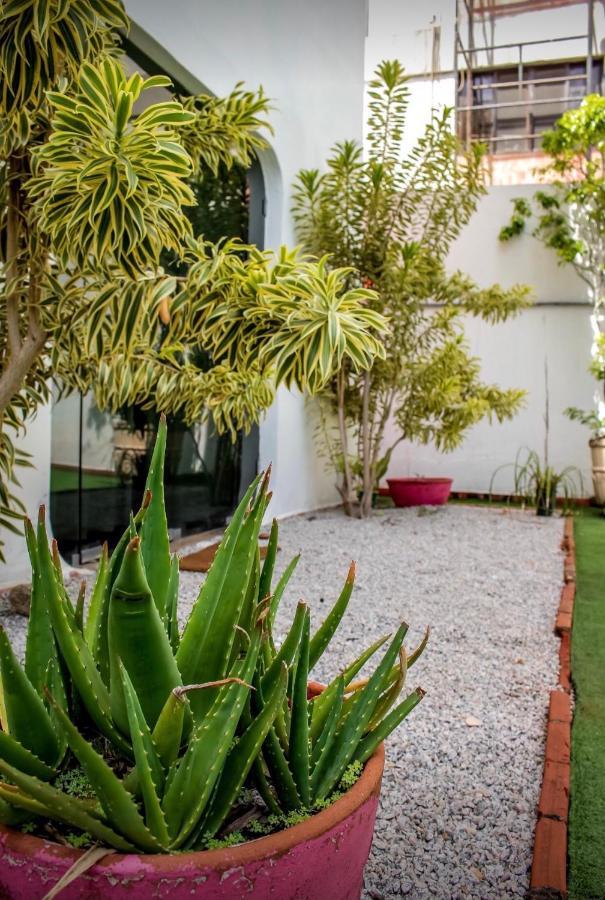 Pousada Paradise Guarujá Dış mekan fotoğraf